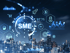 Small and Medium Enterprises (SMEs)
