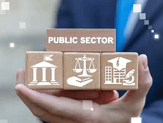 Public Sector and Government Entities